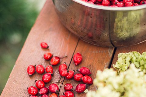 WHY WE’RE LOVING ROSE HIP OIL